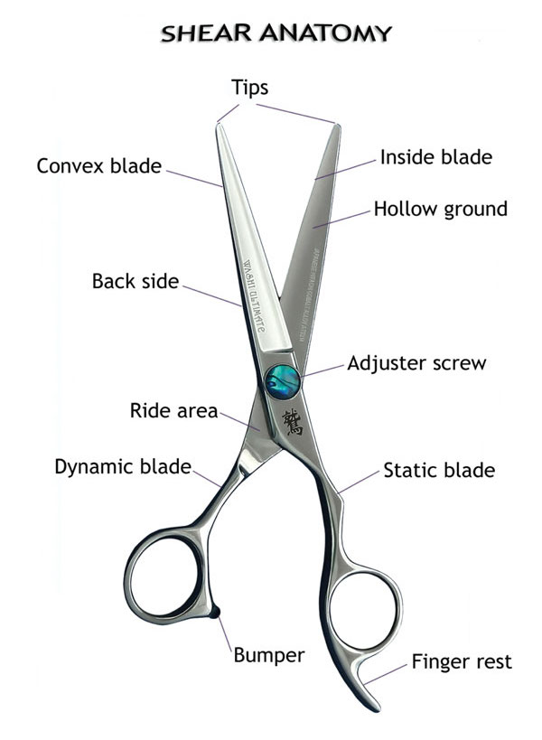 Shear Designs Dog Grooming Shear Designs Dog Grooming